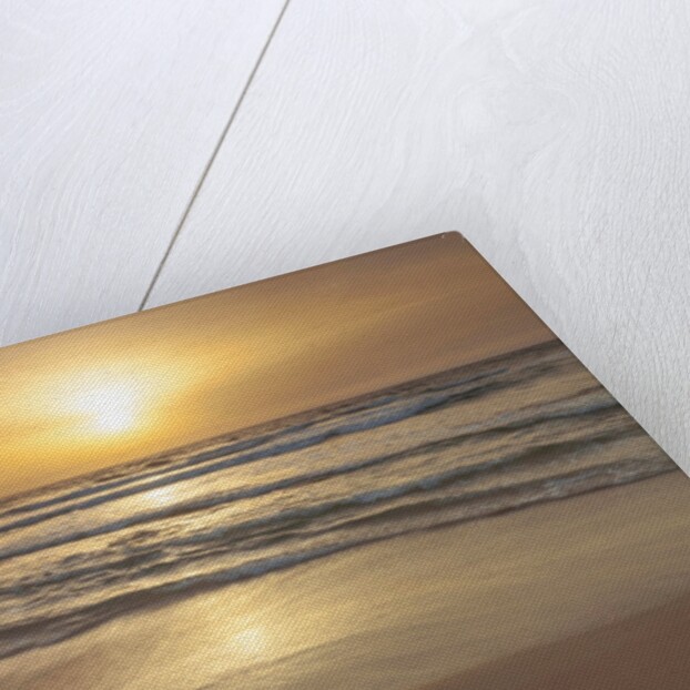 Sunset on the beach by Assaf Frank